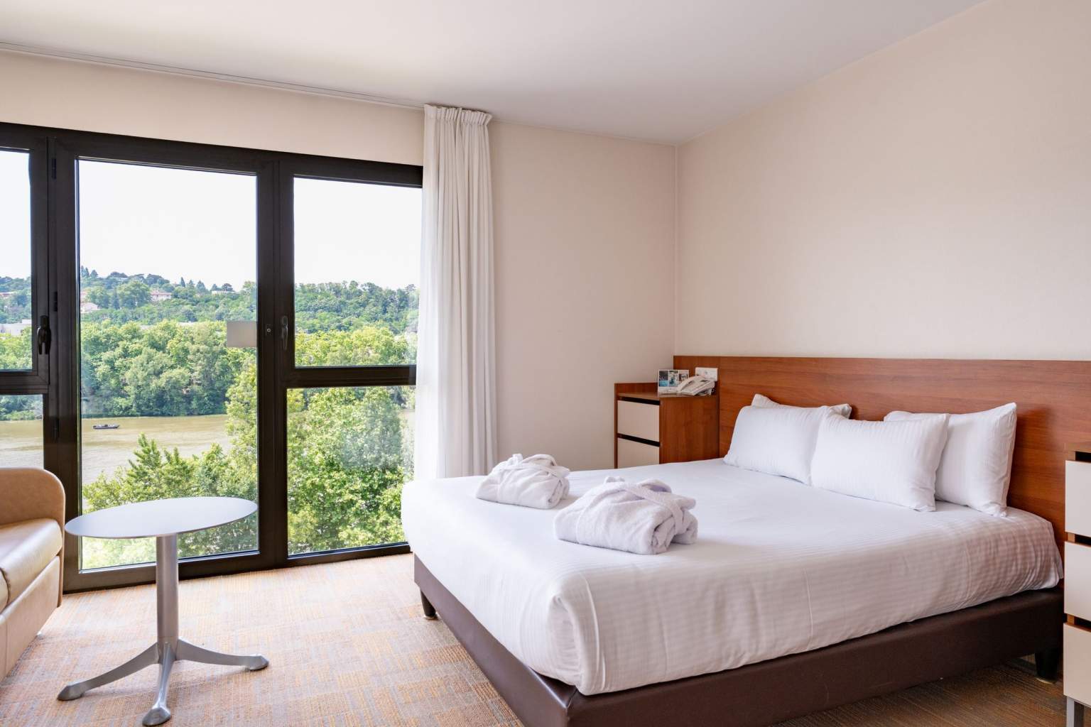 Studio Hôtel Lyon Métropole 4* Spa